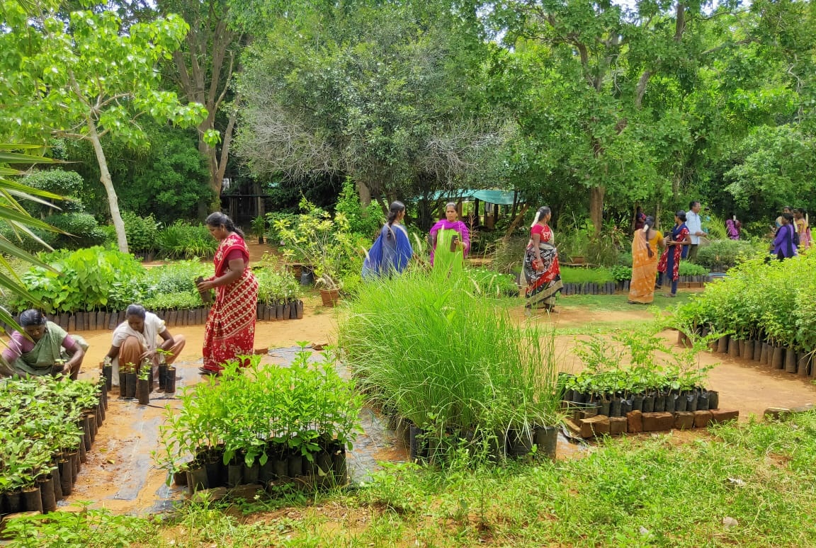 Practical session on Nursery Maintenance at Aurovillle Botanical Garden